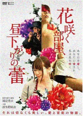 日剧特别篇钝感列车档案封面